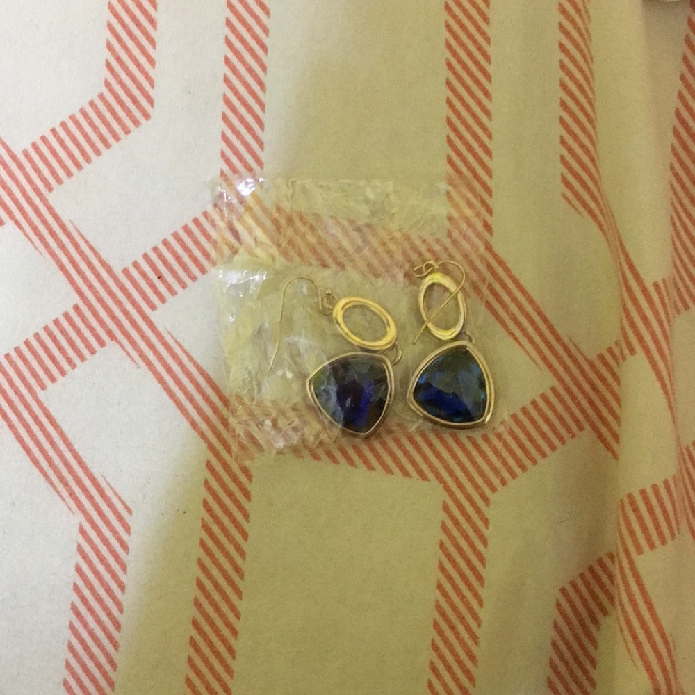 Mary Kay earrings